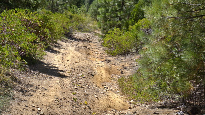 41N53 North Fork Trail Review Photo