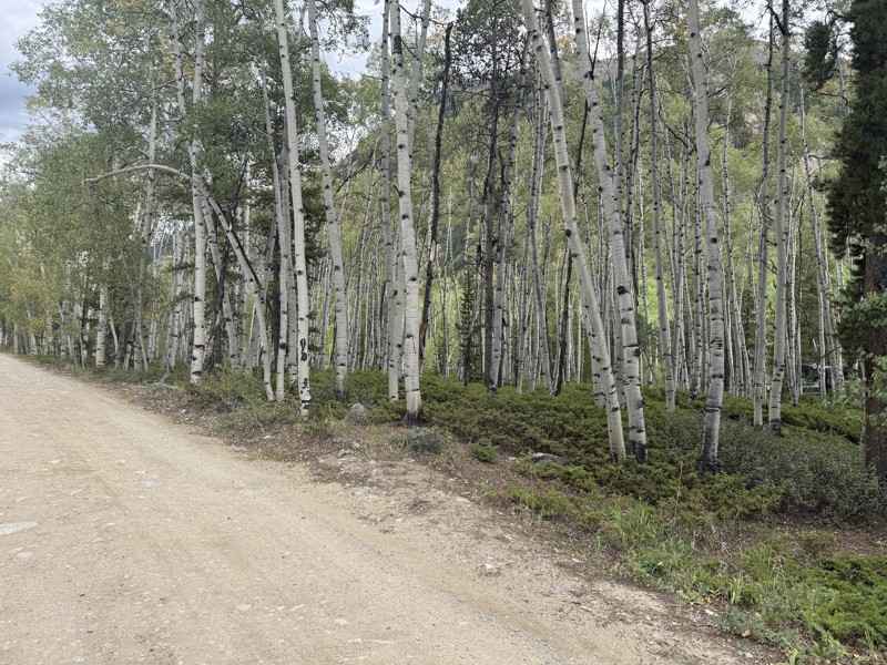 Clear Creek Road Trail Review Photo