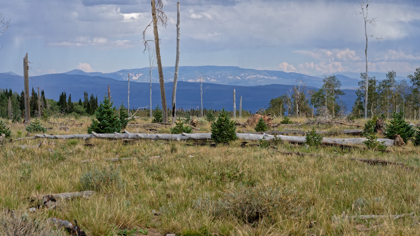 Hero: Paiute Side Trail 44