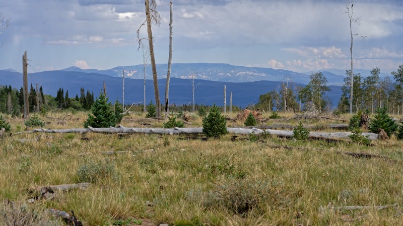 Utah: Paiute Side Trail 44 Hero Photo