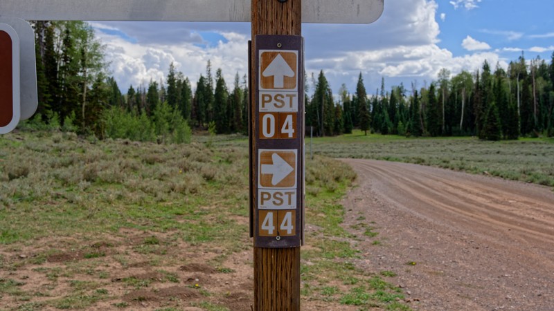 Paiute Side Trail 44 Trail Review Photo