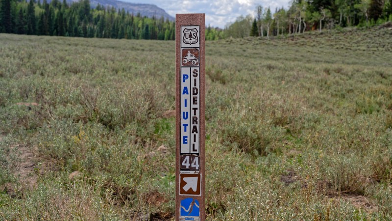 Paiute Side Trail 44 Trail Review Photo