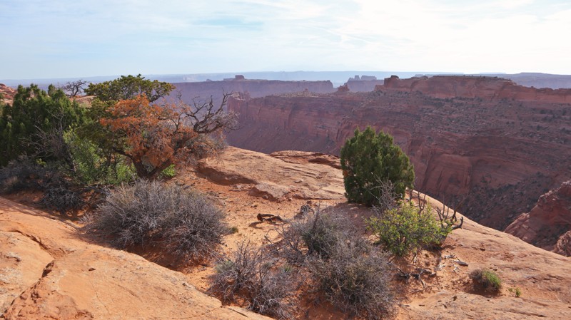Utah: Horseshoe Canyon/Spur Road Hero Photo