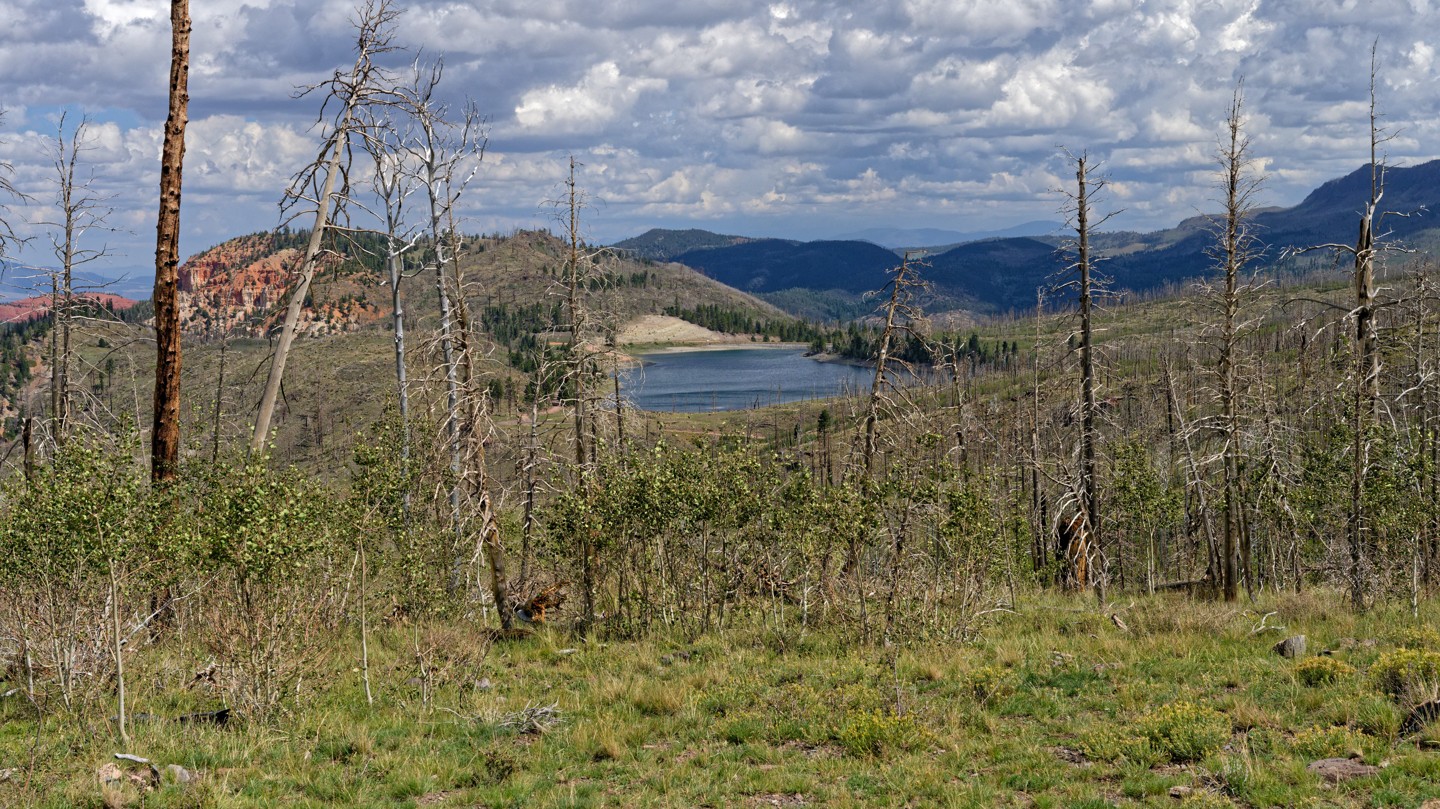 Hero: Bowery Creek Yankee