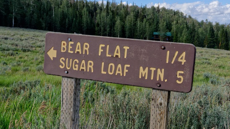 Navajo Ridge Trail Review Photo