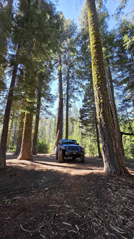 Faucherie Lake Trail Review Photo