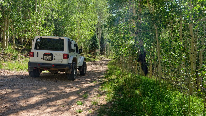 Low Mountain Road Trail Review Photo