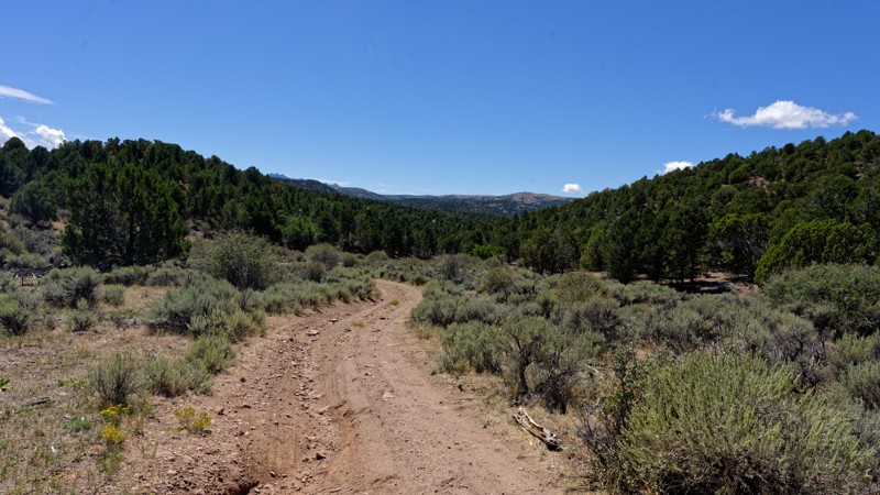 Utah: Pinto Spring Hero Photo