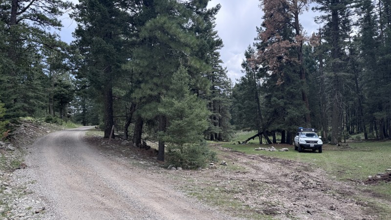Pumphouse Road Trail Review Photo