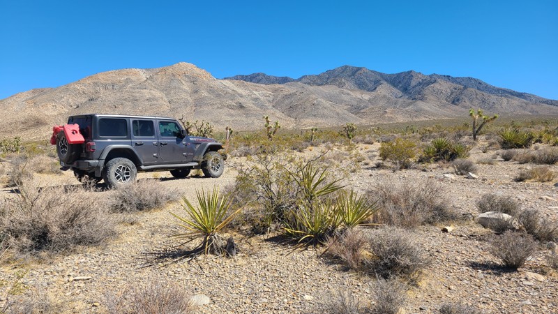 Valley Wells Road Trail Review Photo