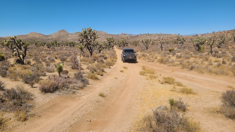 Turquoise Mountain Road Trail Review Photo