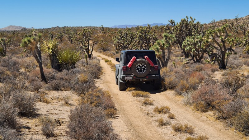 Turquoise Mountain Road Trail Review Photo