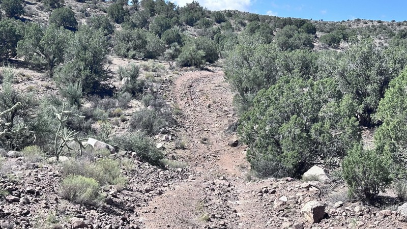 7160 Trail Review Photo