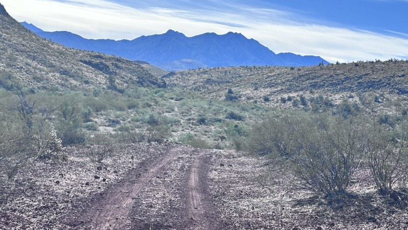 7192 Trail Review Photo