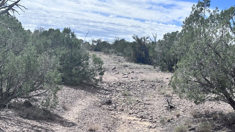 Grand Wash Cliffs Trail Review Photo