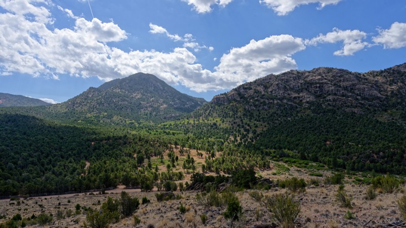 Utah: Pinto Road Hero Photo