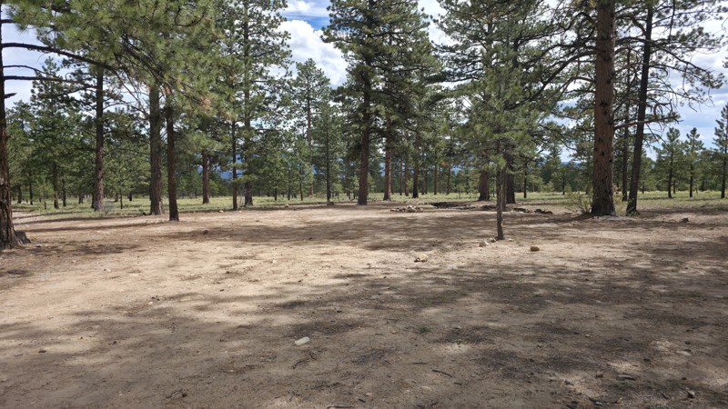 North Threemile Spur Trail Review Photo
