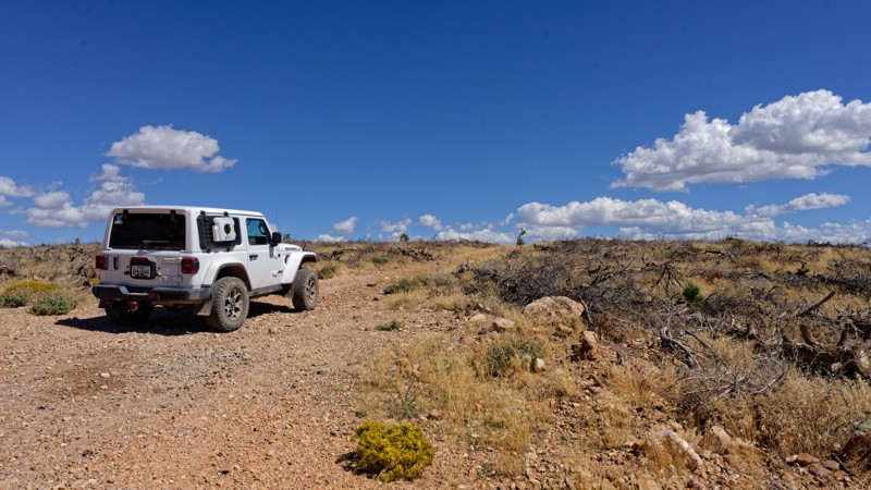 Red Hills Radio Tower Trail Review Photo