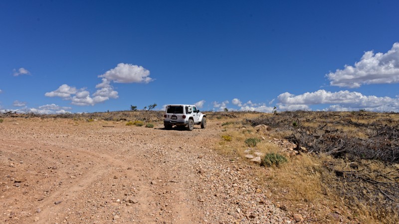 Red Hills Radio Tower Trail Review Photo