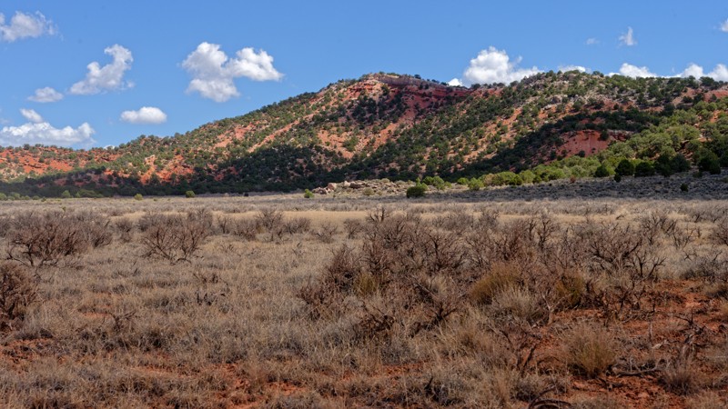 Utah: North Braffits Creek Road Hero Photo