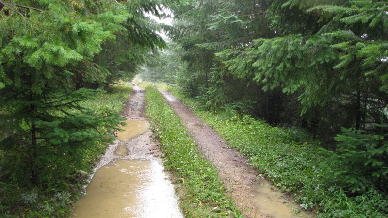 Divide Lateral Trail Review Photo