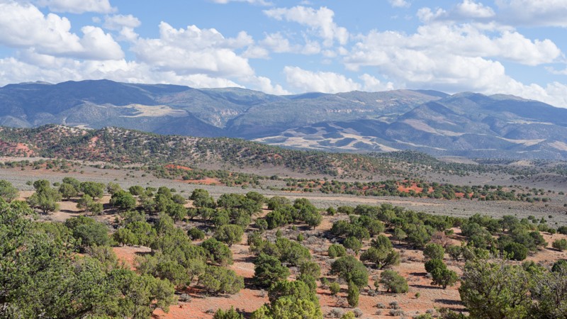 Utah: Red Hills South Road Hero Photo
