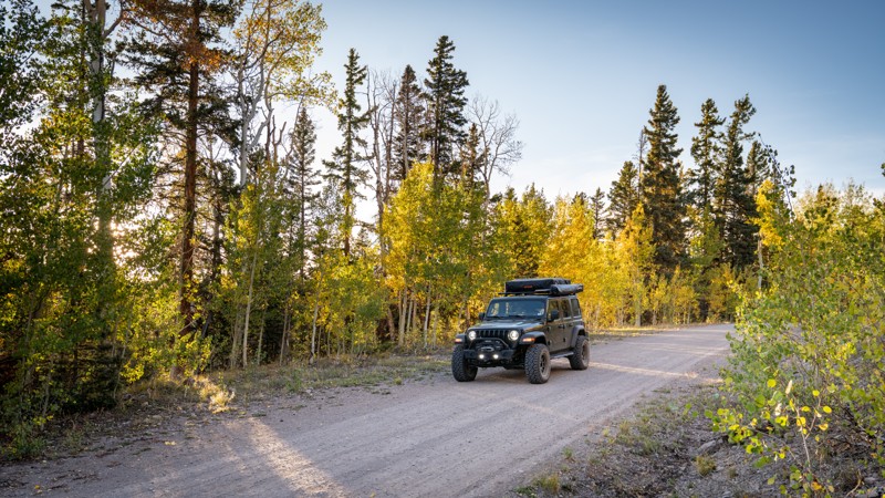Red Creek Trail Review Photo