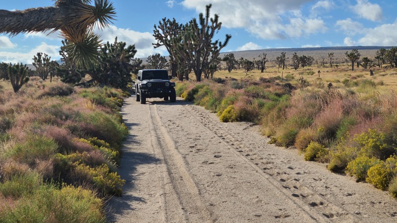 Deer Spring Pipeline Road Trail Review Photo