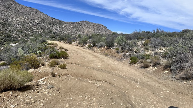 7252/7262 Trail Review Photo