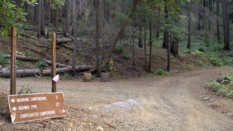 Fenders Ferry Trail Review Photo