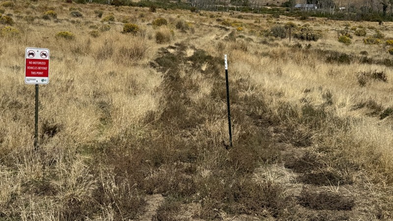 Newlands Road Trail Review Photo