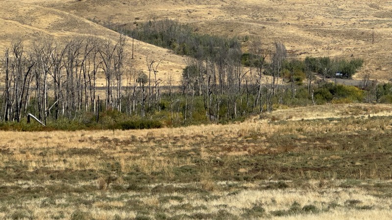 Newlands Road Trail Review Photo