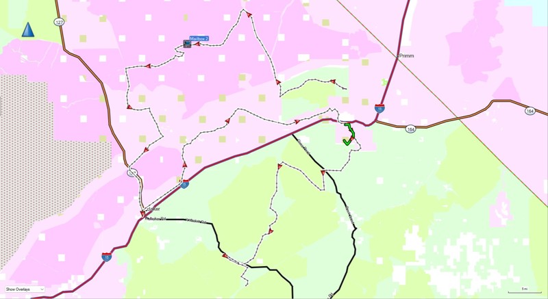 Kokoweef Road Trail Review Photo