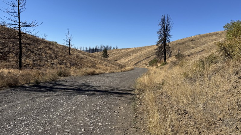 Wenas Road Trail Review Photo