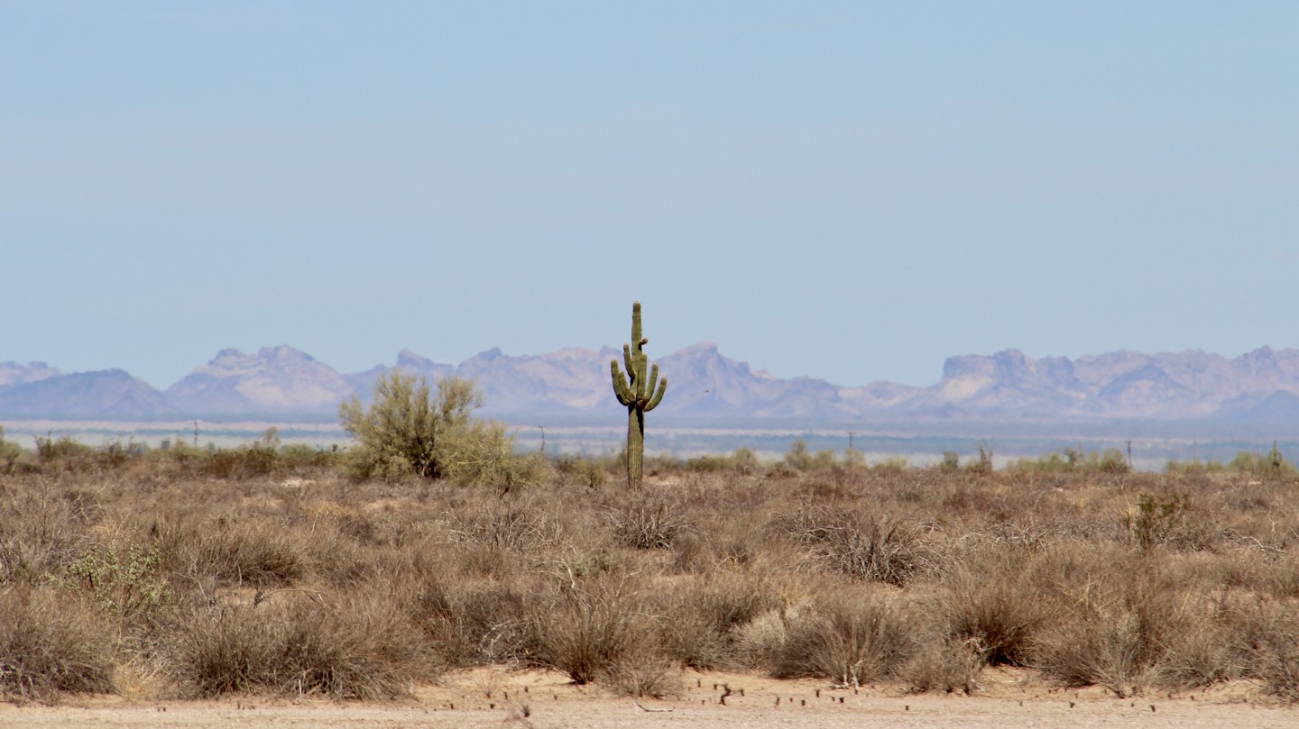 Hero: South Oatman Road