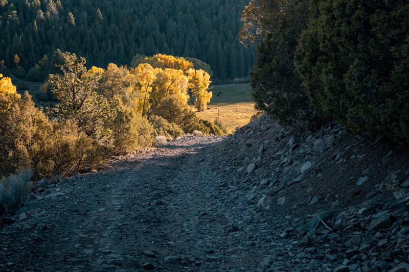 FS 494 Trail Review Photo