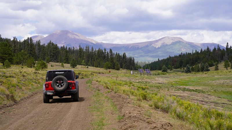 Chubb Park - Beginner Trails