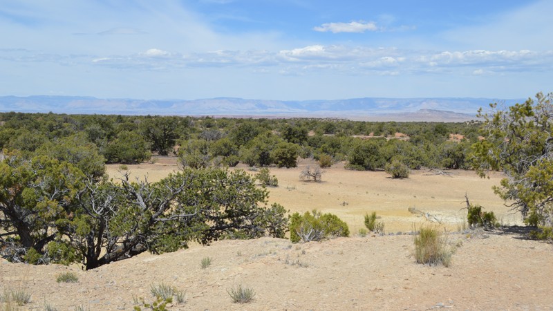 Utah: BLM626 Cutoff Hero Photo