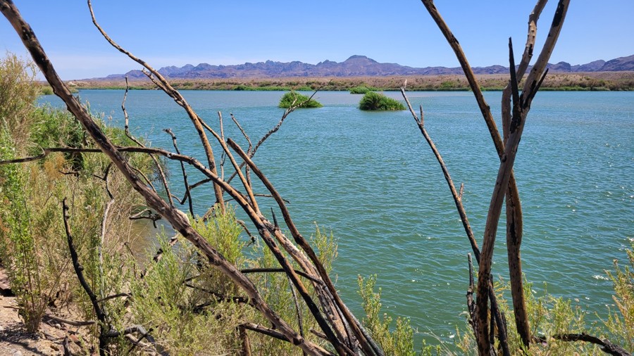 Walters Camp Road Trail Review Photo
