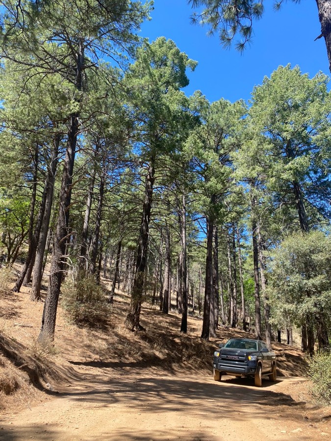 Carr Canyon Trail Trail Review Photo