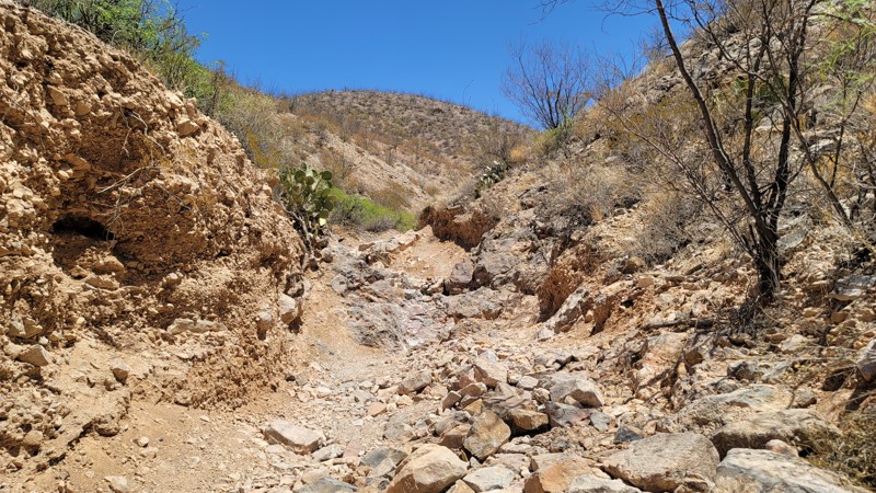 New Mexico: Sidewinder Hero Photo