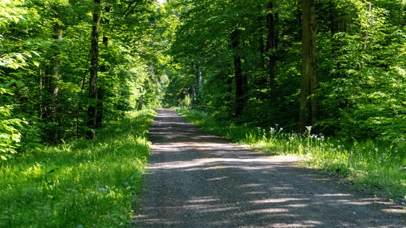 Pennsylvania: South Forks Road Hero Photo