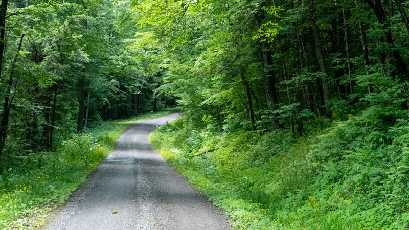 Pennsylvania: Mudlick Road Hero Photo