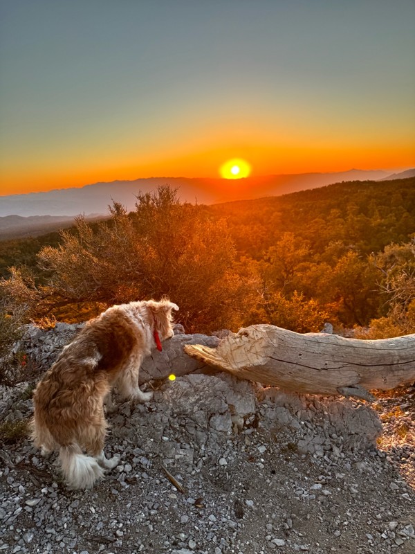 Mack's Canyon Trail Review Photo