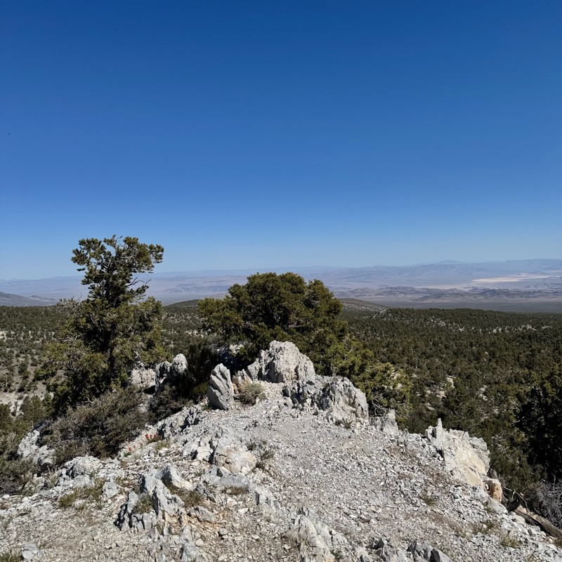 Mack's Canyon Trail Review Photo