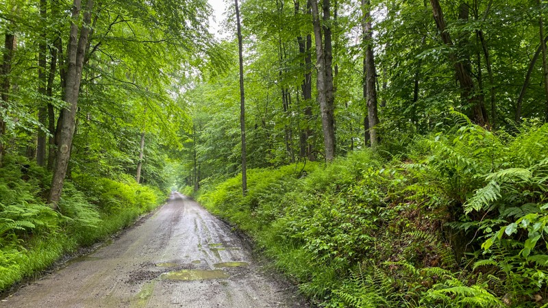 Pennsylvania: Loleta Grade Hero Photo