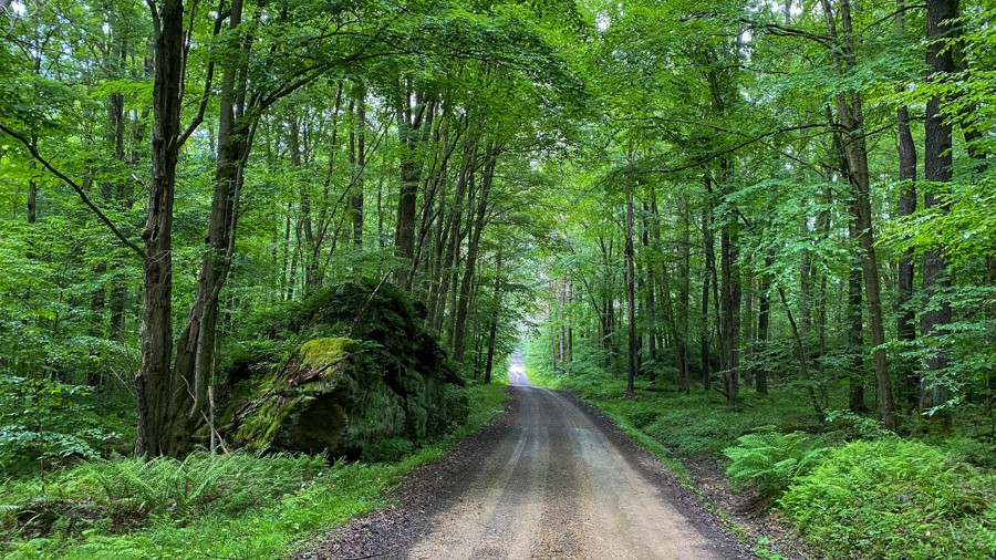 Lamonaville Trail Review Photo