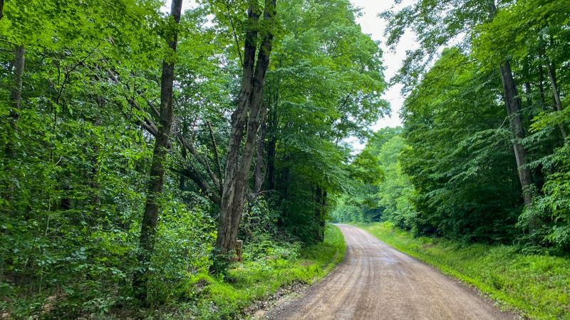 Pennsylvania: Lamonaville Road Hero Photo