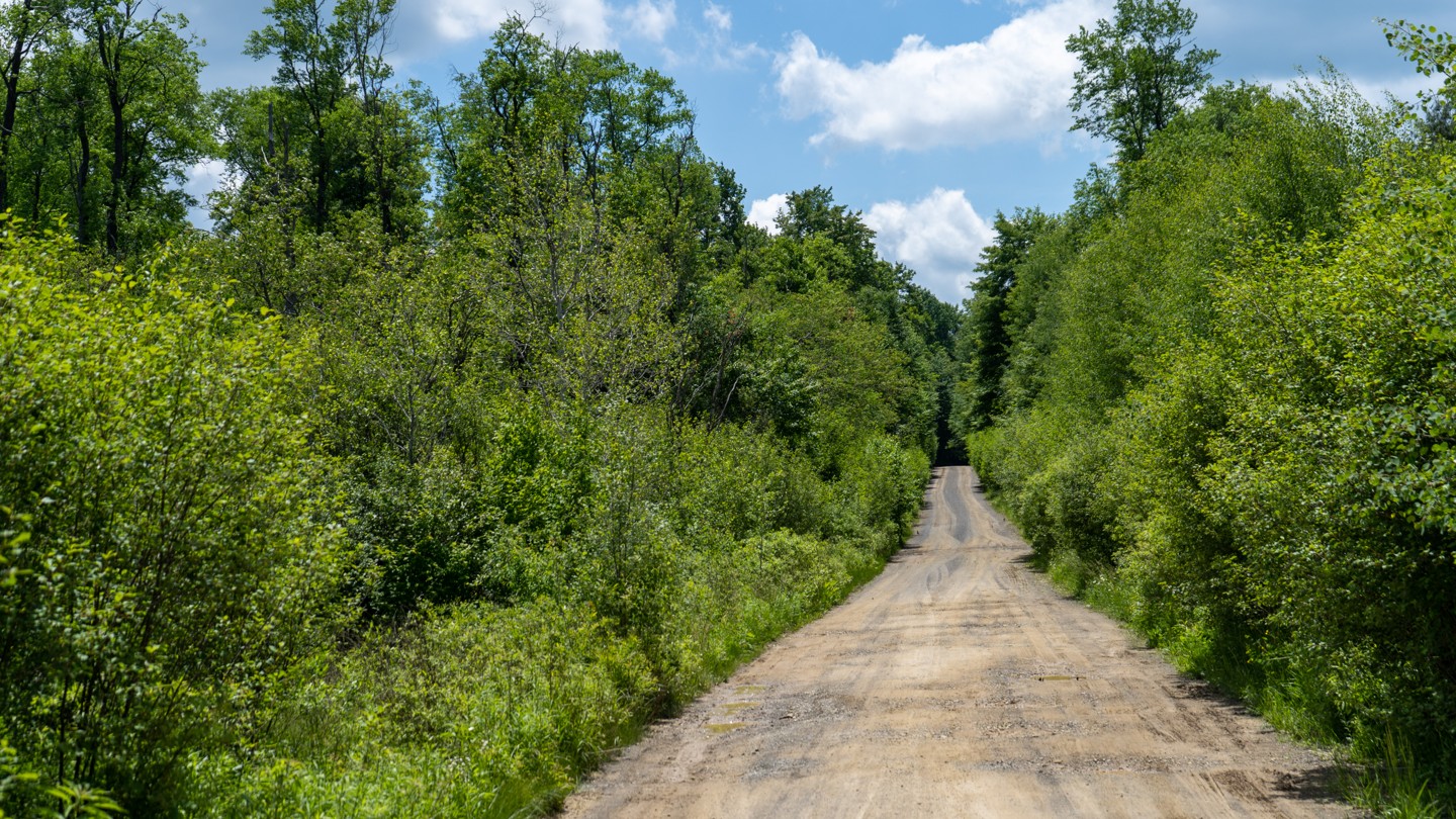 Highlight: https://images-prod.trailsoffroad.com/scout_routes/664/hero_file_name/1655565113555_resized_A7I07549.jpg
