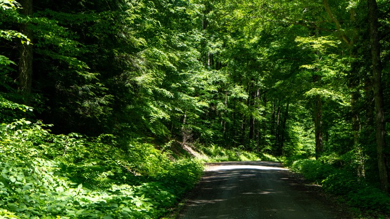 Pennsylvania: Big Mill Creek Hero Photo